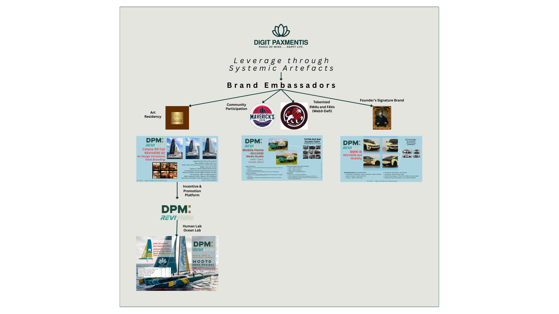 DPM's systemic artefacts